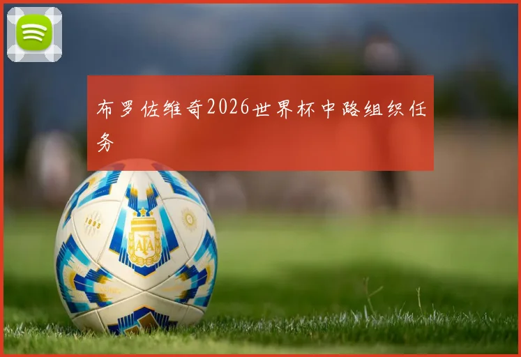 布罗佐维奇2026世界杯中路组织任务