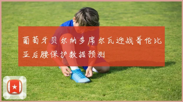 葡萄牙贝尔纳多席尔瓦迎战哥伦比亚后腰保护数据预测